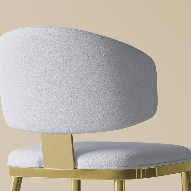 Modern PU Leather Metal Dining Chairs for Dining Room (Set of 2)