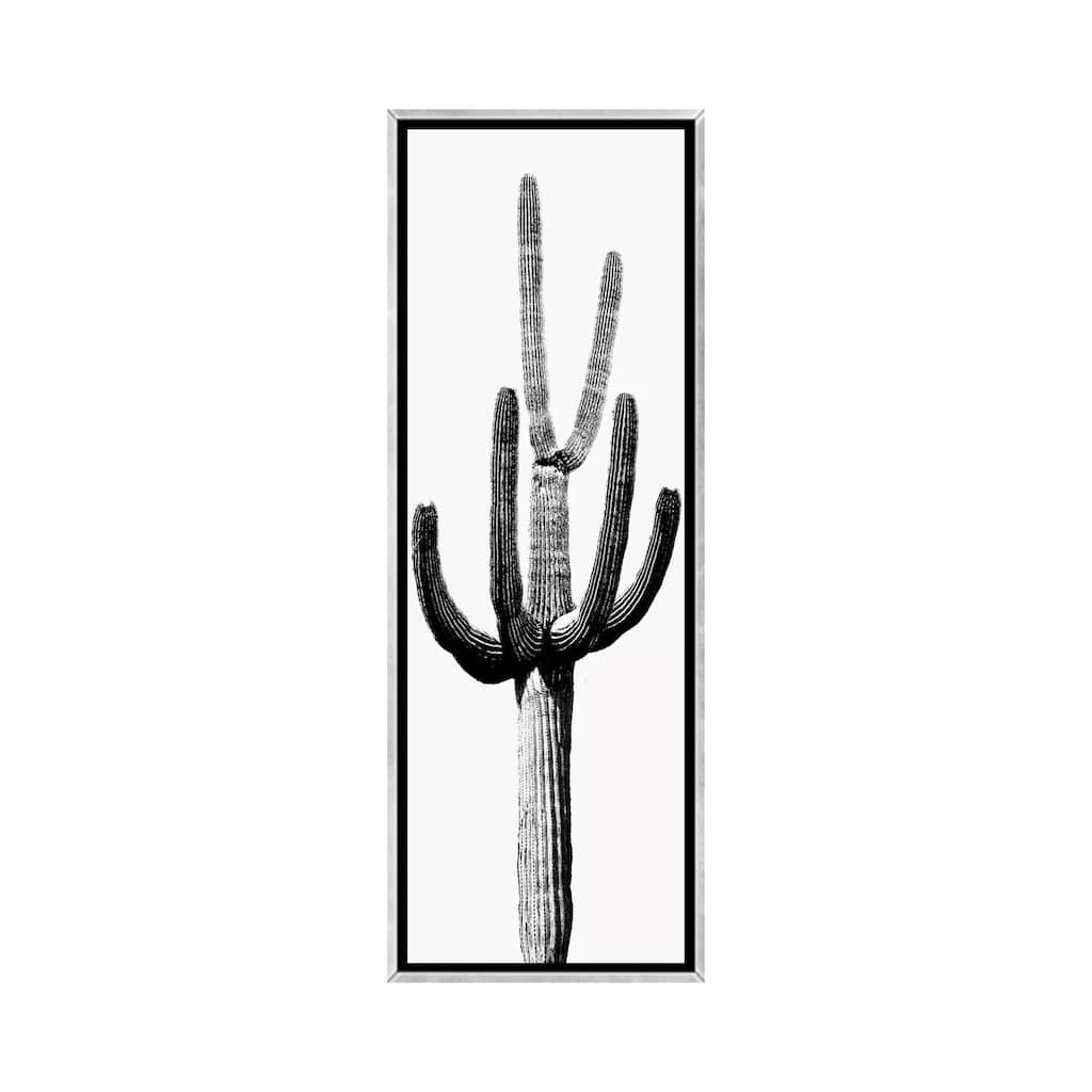 iCanvas "Black & White Saguaro Cactus III" by Mia Jensen Framed