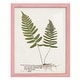 preview thumbnail 69 of 138, Nature Printed Ferns IX -Framed Print w/glass-Cherry Red 12x15 - Pink