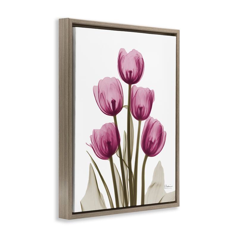 Stupell Pink X-Ray Tulips Framed Floater Canvas Wall Art Design by Albert Koetsier