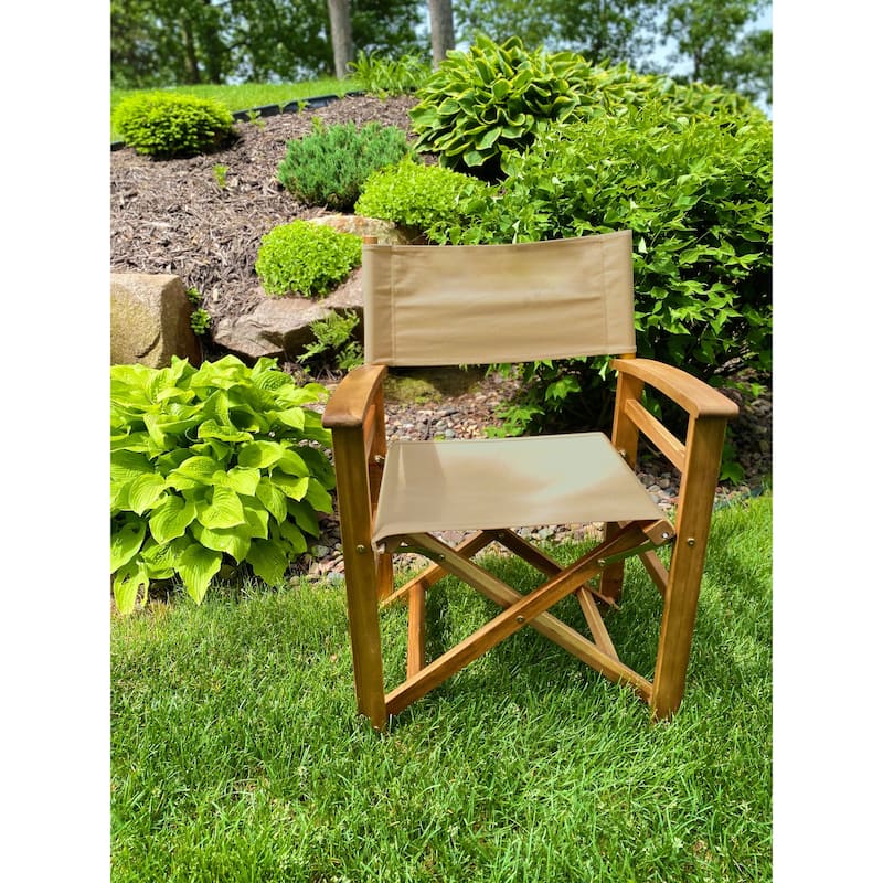 Director's Chair