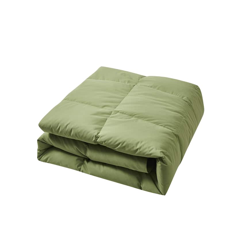 Beautyrest Color Feather And Down Comforter - Sage - Twin