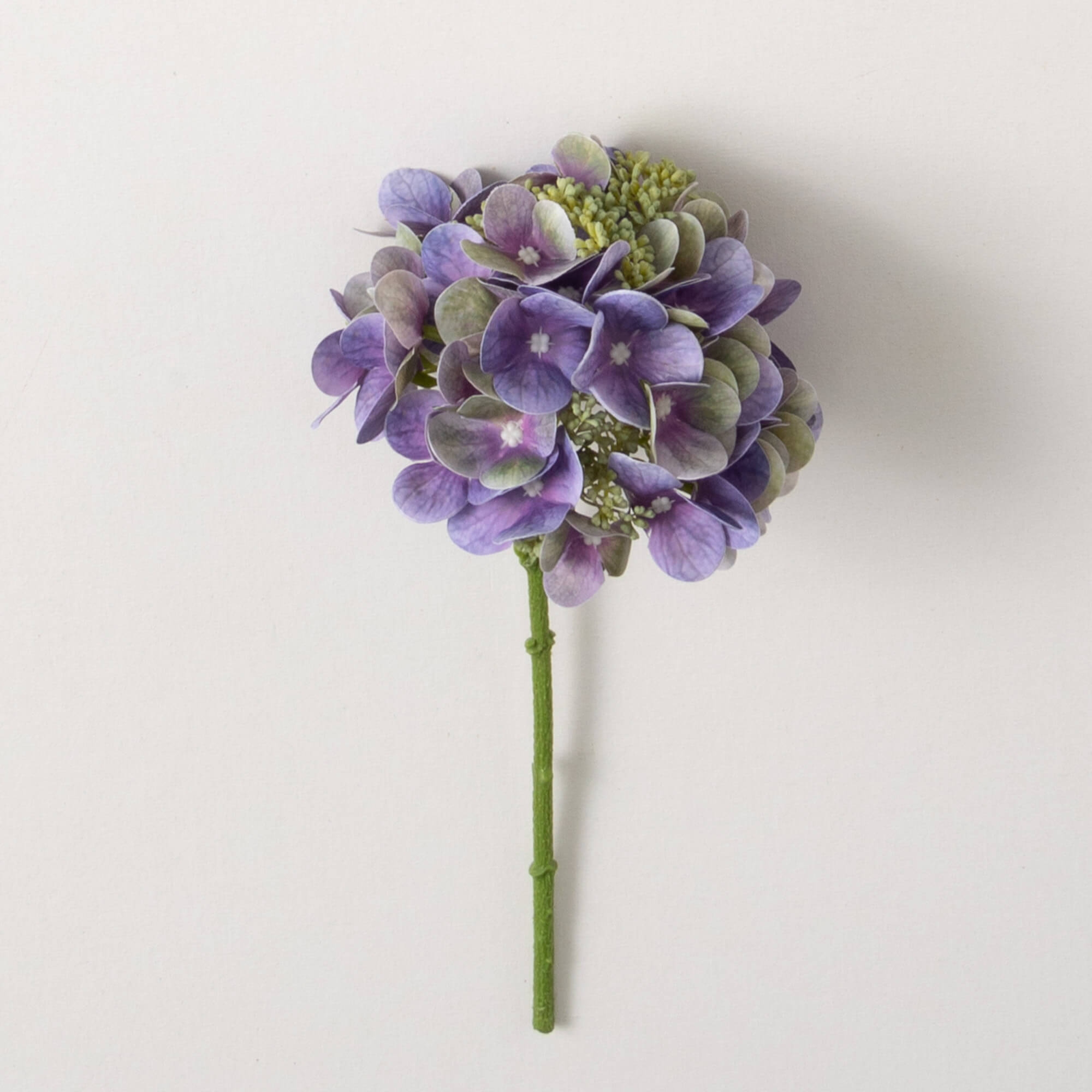 Hydrangea4937　0531 Sullivans Artificial 13