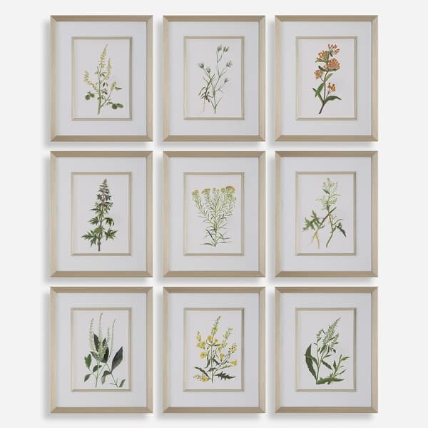 slide 2 of 7, Uttermost Botanical Flowers Framed Prints, Set of 9