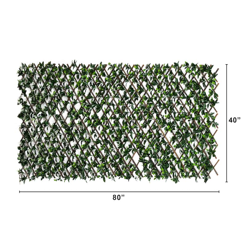Artificial Gardenia UV Resistant Expandable Outdoor Fence - 40" x 80"