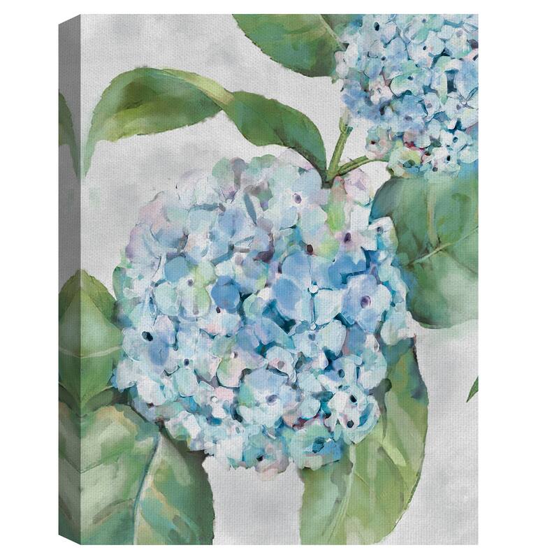 Hydrangea Portraits I Canvas Art Print