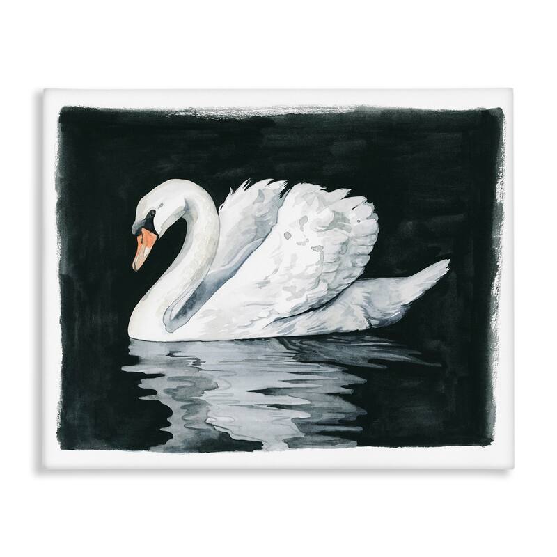 Stupell Beautiful Swan Black Reflection Canvas Wall Art by Grace Popp - 20 x 16
