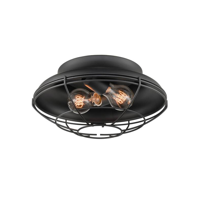 Millennium Lighting 2 Light 12" Wide Outdoor Flush Mount Bowl Ceiling