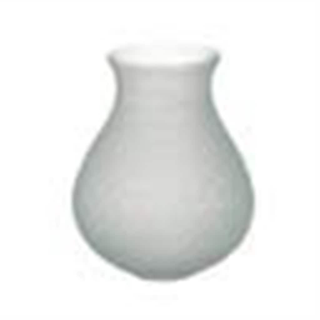 Glass Frosted Etched Bulb Vase- A