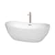 Option White, Brushed Nickel Trim & Faucet