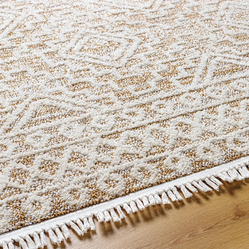 Livabliss Berlin Global Moroccan Area Rug