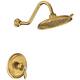Option Brushed Gold