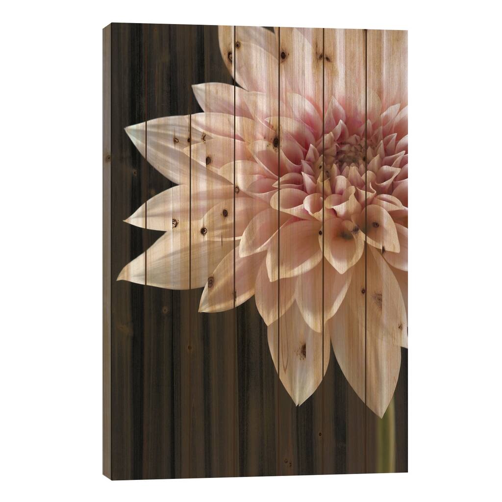 Cafe au Lait Dahlia Print On Wood by Alyson Fennell - Multi-Color
