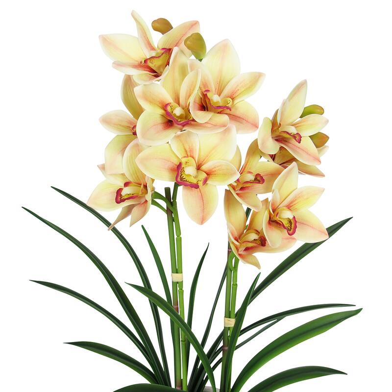 Yellow Burgundy Artificial Cymbidium Orchid Flower Arrangement 2 Stem in Leaf Pattern Ceramic Pot 24in - 24" H x 18" W x 8" DP
