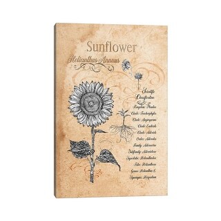 iCanvas "Sunflower - Botanical II" by Fanitsa Petrou Canvas Print - Bed ...