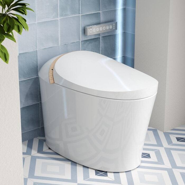 DV-1S0160 Smart Toilet with Advance Bidet, Foot Kick/Off-seat/Blackout/Remote Flush - White