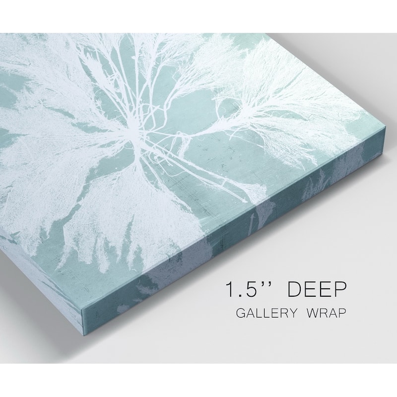 Seaweed on Aqua VI -Premium Gallery Wrapped Canvas
