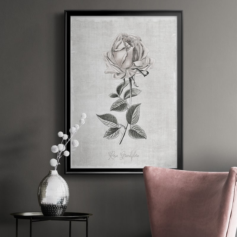 Vintage Botanical II Premium Framed Print - Ready to Hang