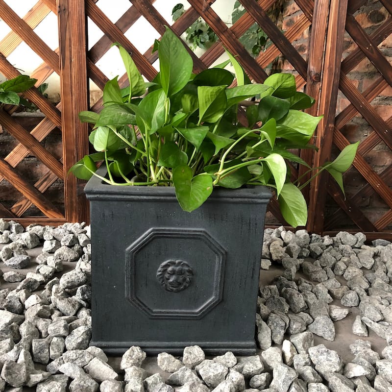 DurX-litecrete Lightweight Concrete Lion Head Square Antique Rust Color Planter Small - 10.24'x10.24'x10.24'