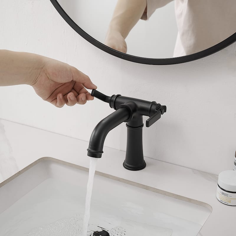 Industrial Style Two Handle Bathroom Faucet - Matte Black