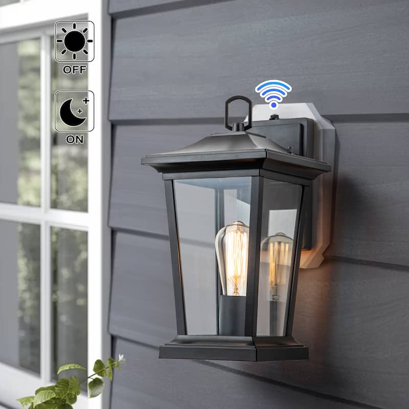 C Cattleya 1-Light Matte Black Dusk to Dawn Outdoor Wall Light