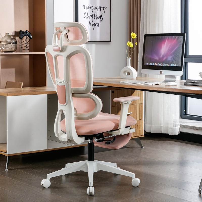 https://ak1.ostkcdn.com/images/products/is/images/direct/62ceee4d9481a351c33b9781aa99131bc5ce0d56/Ergonomic-Mesh-Office-Chair-with-2D-Adjustable-Armrest-and-Wheels-for-Home-%26-Office.jpg