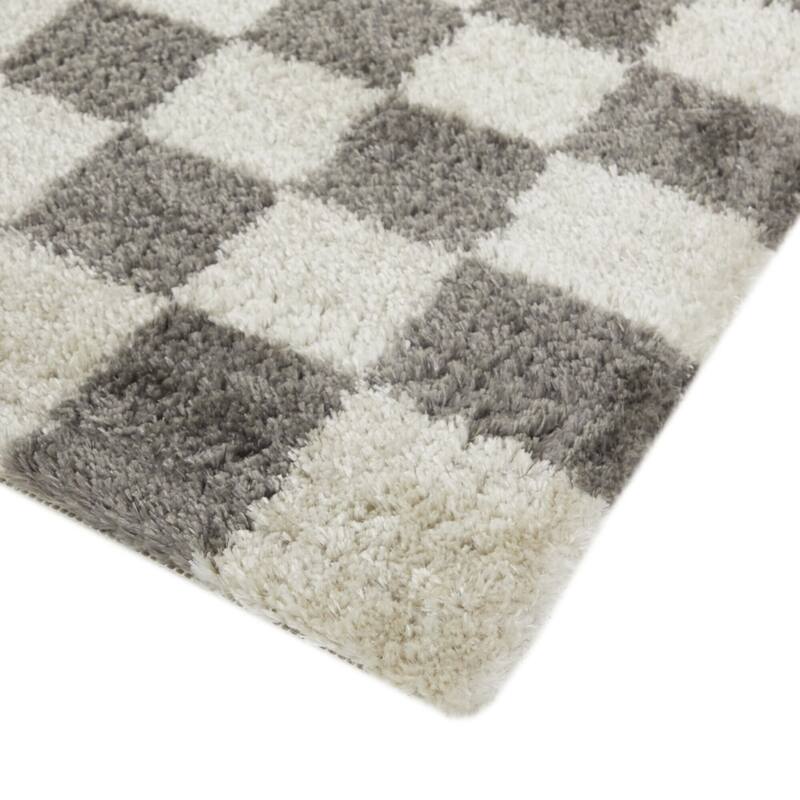 Havill Classic Checkered Area Rug