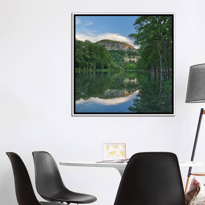 iCanvas "Bald Cypress Trees, Frio River, Old Baldy Mountain, Garner State Park, Texas" by Tim Fitzharris Framed Canvas Print
