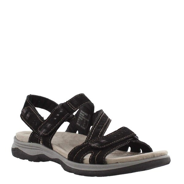 earth origins holland