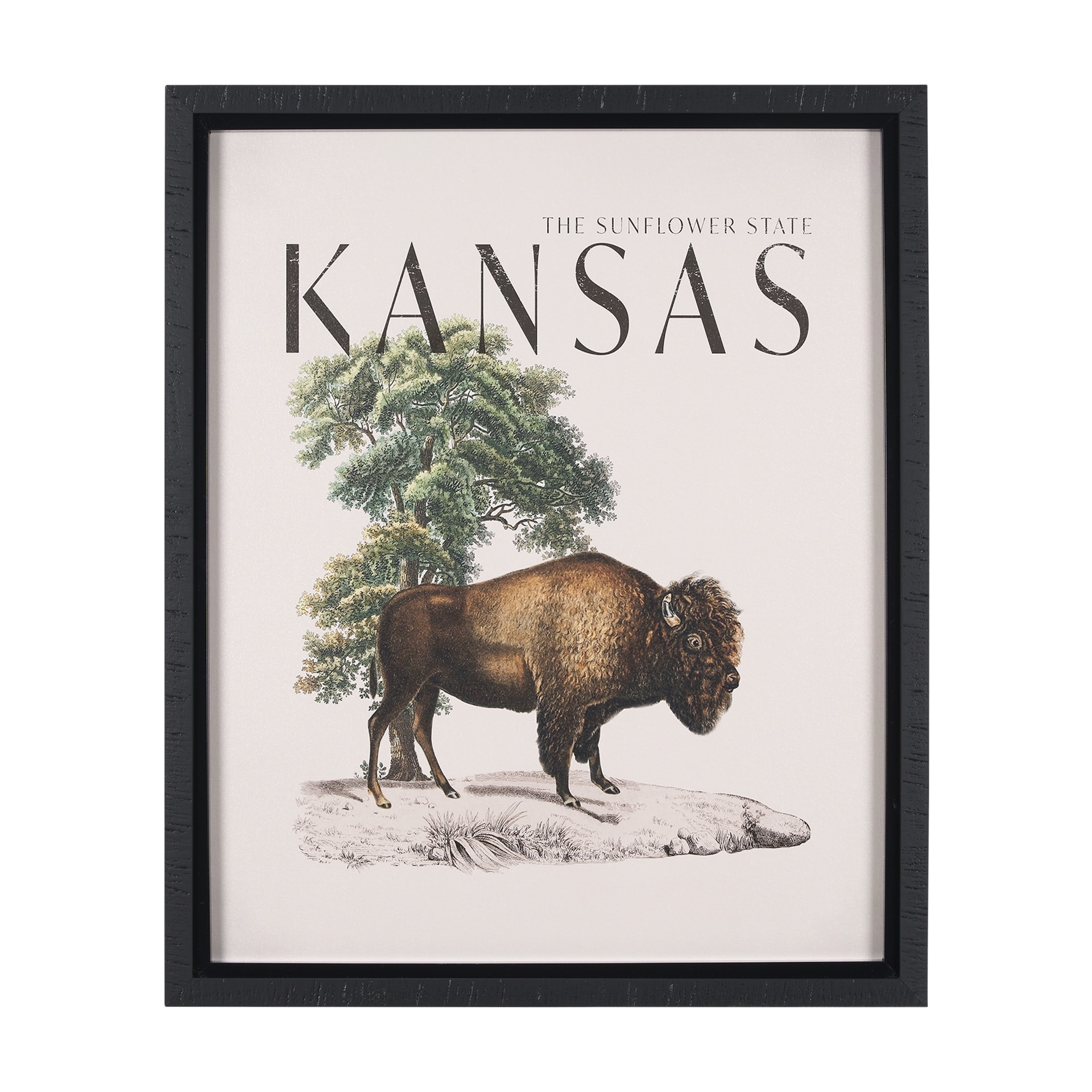 Mercana Travel Guide - Kansas by Vintage Collection a Hand Embellished Textured Framed Art Print