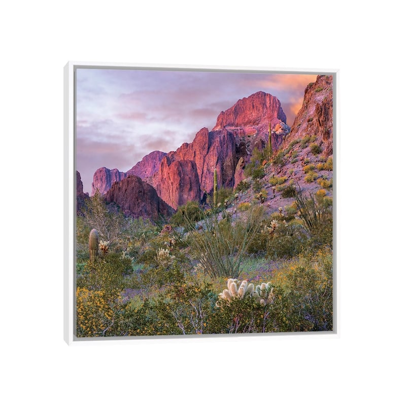 iCanvas "Teddy Bear Cholla And Saguaro, Kofa Nwr, Arizona" by Tim Fitzharris Framed Canvas Print - White - 12x12