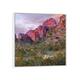iCanvas "Teddy Bear Cholla And Saguaro, Kofa Nwr, Arizona" by Tim Fitzharris Framed Canvas Print - White - 12x12