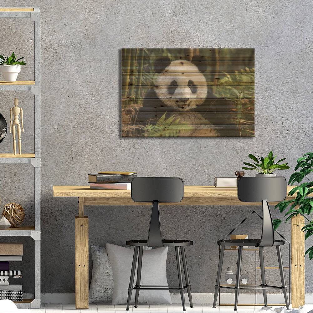 Portrait Of Young Giant Panda China Chengdu Chengdu Panda Base