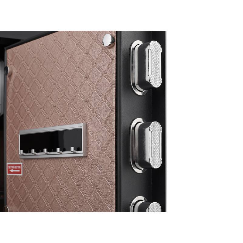 Safe Box with Biometric Recognition, Built-in Removable And Flexible Compartment Partition, Dual Protection