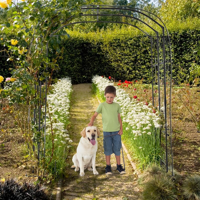 DoCred Garden Trellis for Climbing Plants, Outdoor Metal Trellis