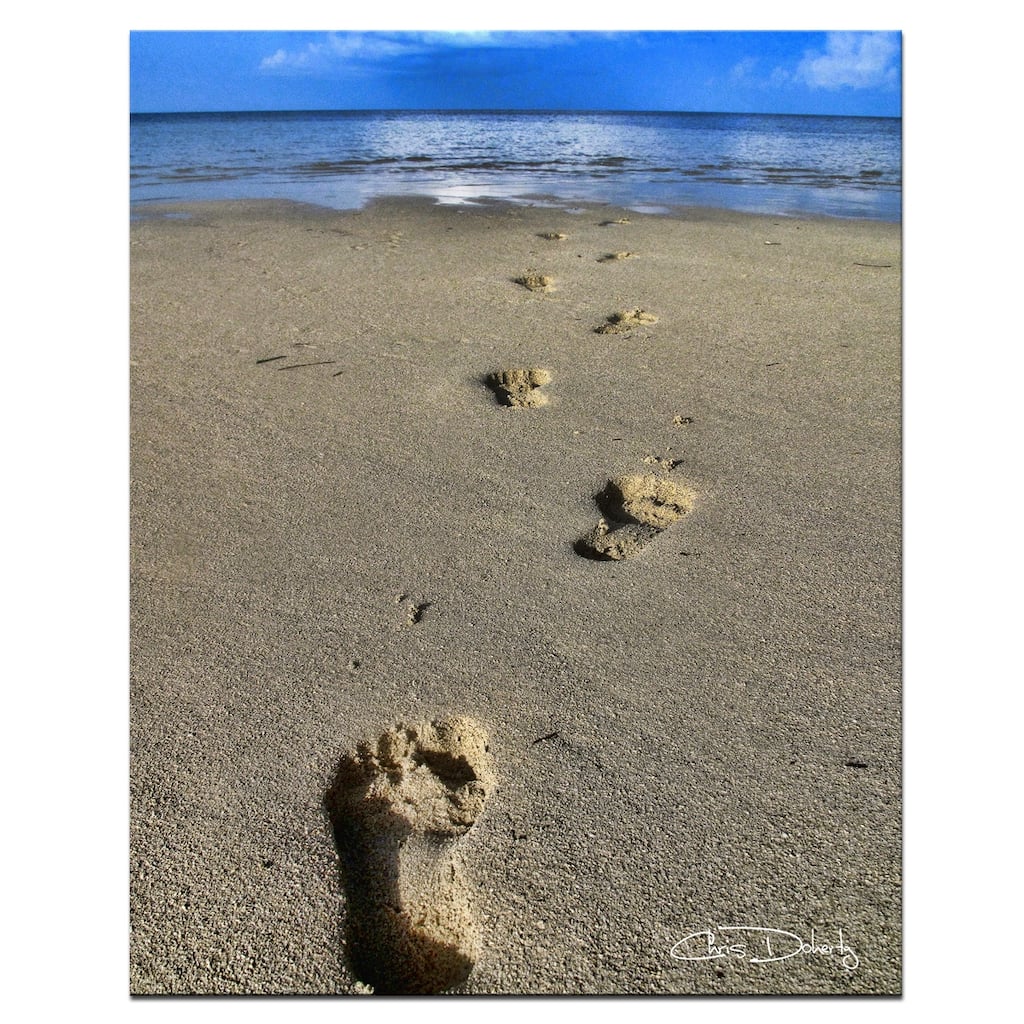 Ready2HangArt 'Footprints' Wrapped Canvas Wall Art