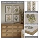 preview thumbnail 2 of 16, Madison Park Herbal Botany 4-piece Botanical Illustration Framed Canvas Wall Art Set