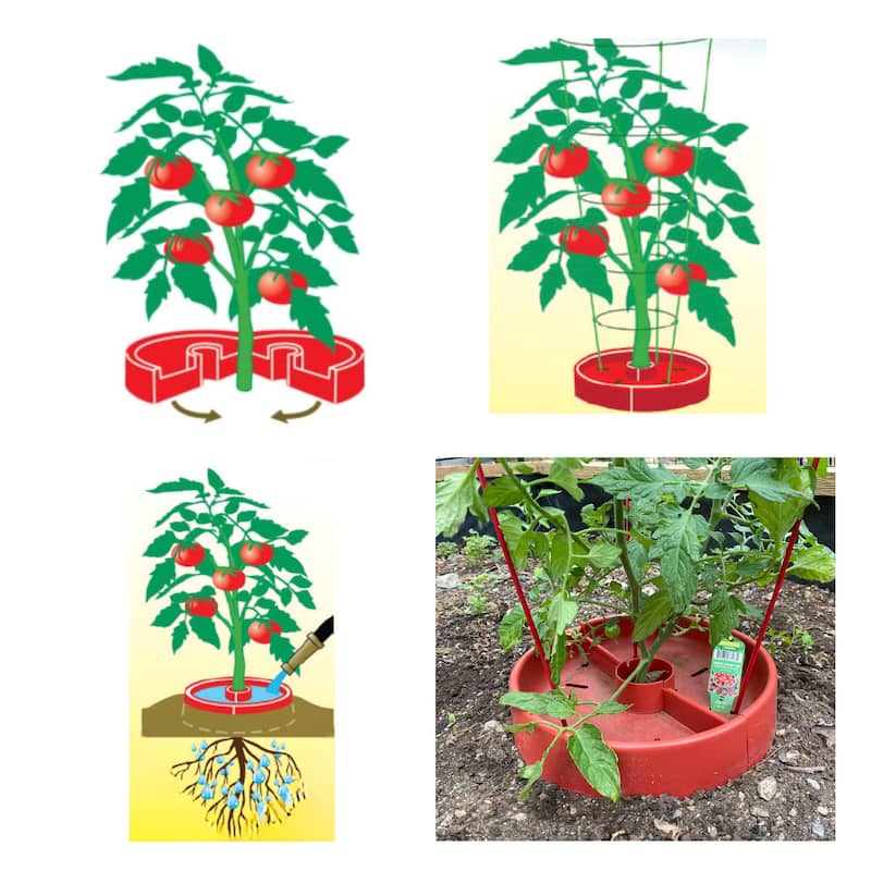 Tomato Crater Gardening Tool for Healthier Tomatoes, 12” Red