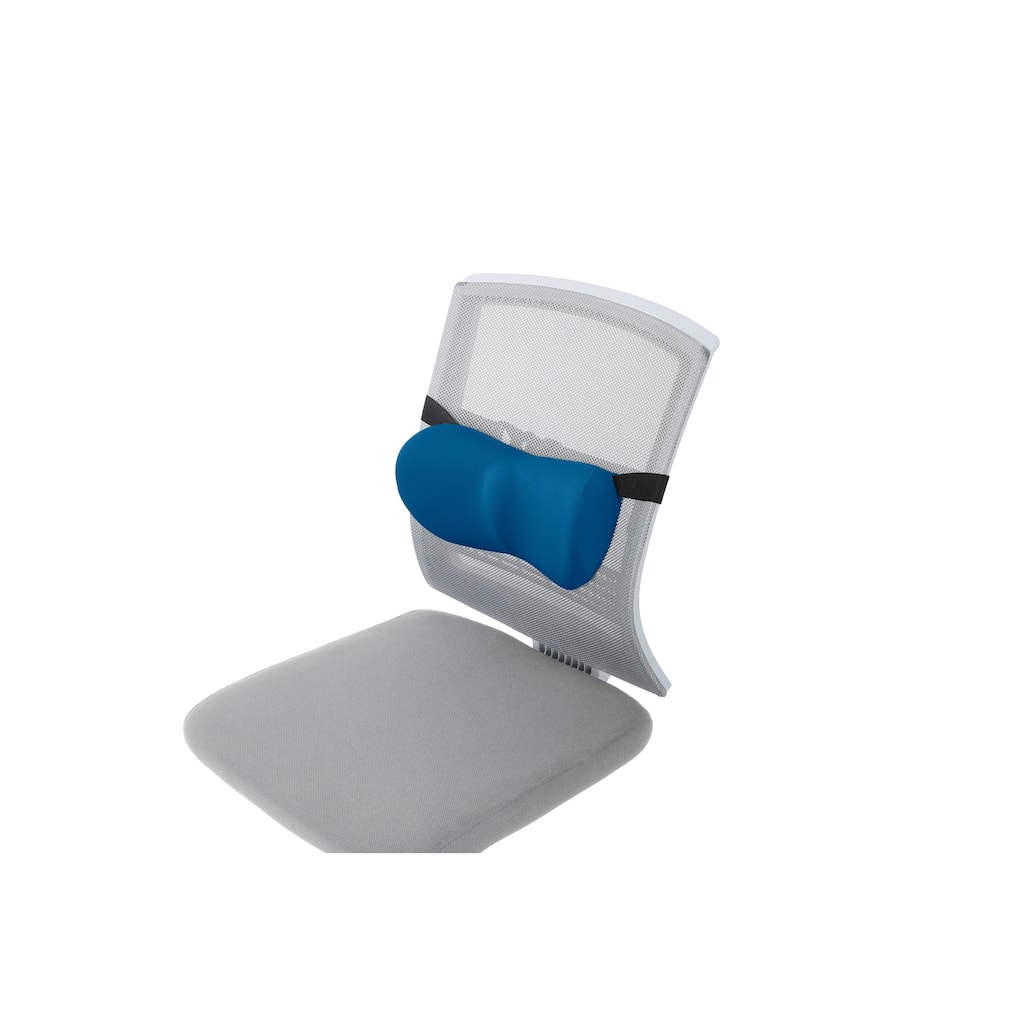SmartRip Cushion at Work Lumbar Support Butterfly