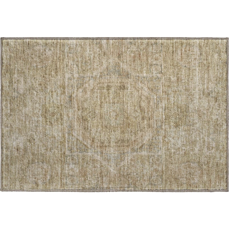 Premium Washable Super Soft Vintage Traditional Mayfield Rug
