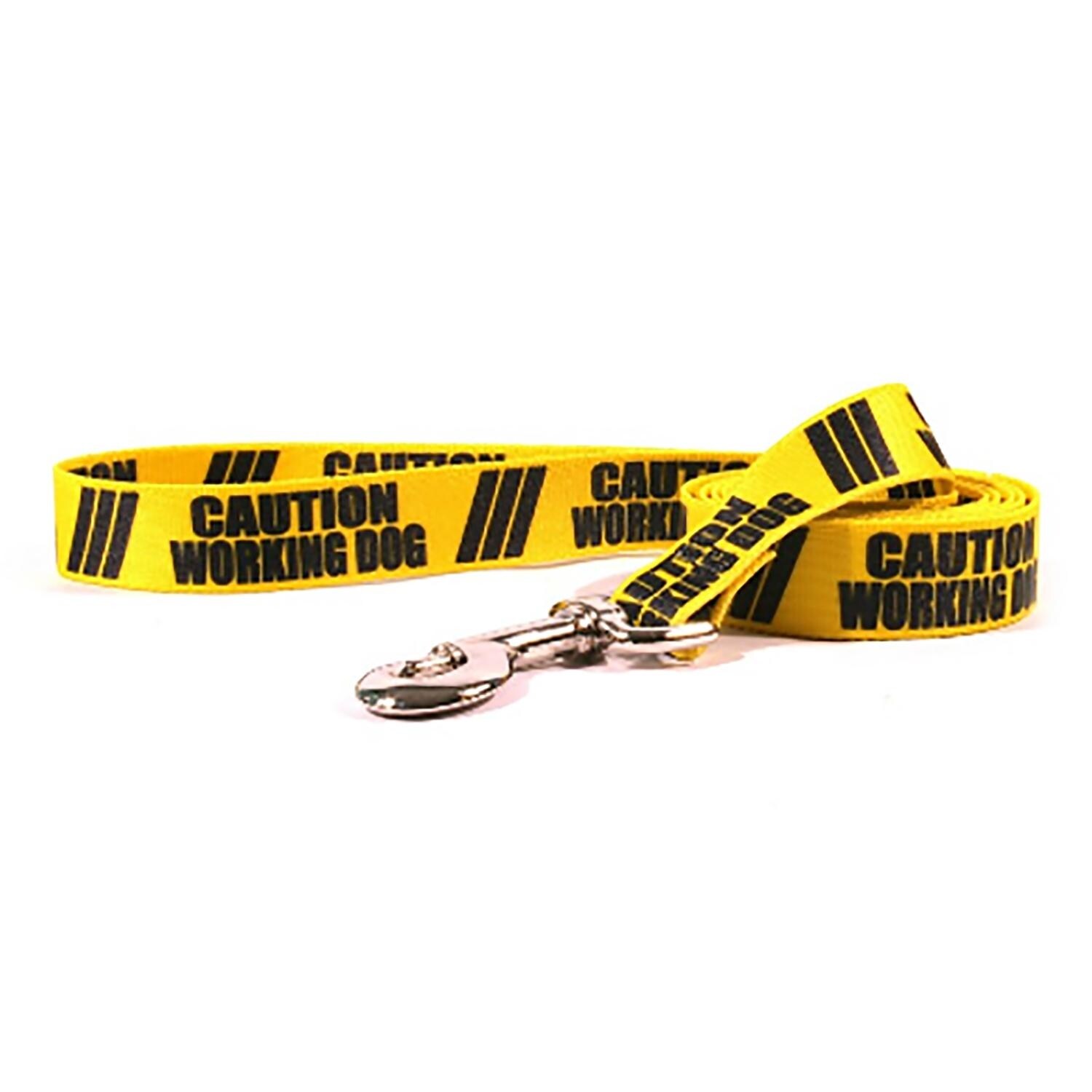 yellow dog leash