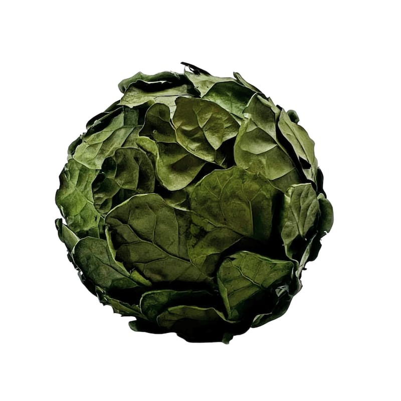 Real Preserved Decorative Pinecone and Magnolia Leaf Decorative Orbs Bowl Filler - Set of 3