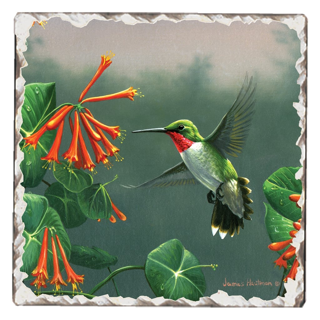 Counterart Absorbent Stone Coasters - Hummingbird #2 - Set of 4 - 4x4x1.003