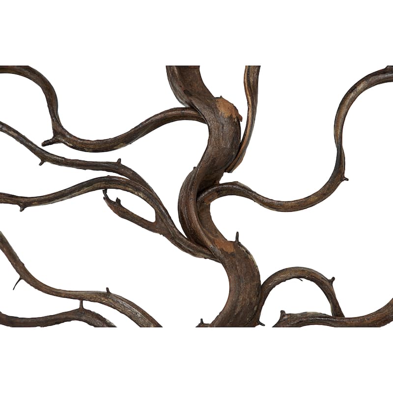 Teak Wood Tree Branch Wall Decor with Black Frame - Brown - Roche River Decor
