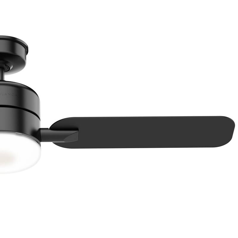 Casablanca 54" Paume Outdoor Ceiling Fan with LED Light Kit and Wall Control - Coastal - DAMP RATED!