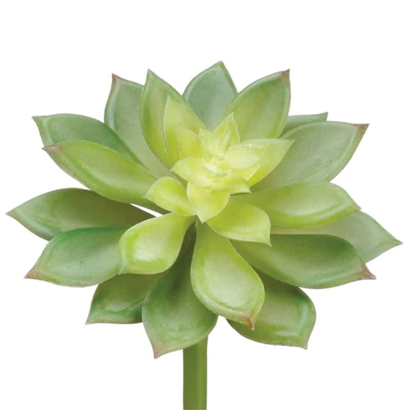 Echeveria Artificial Pick Spray - 10" - Green
