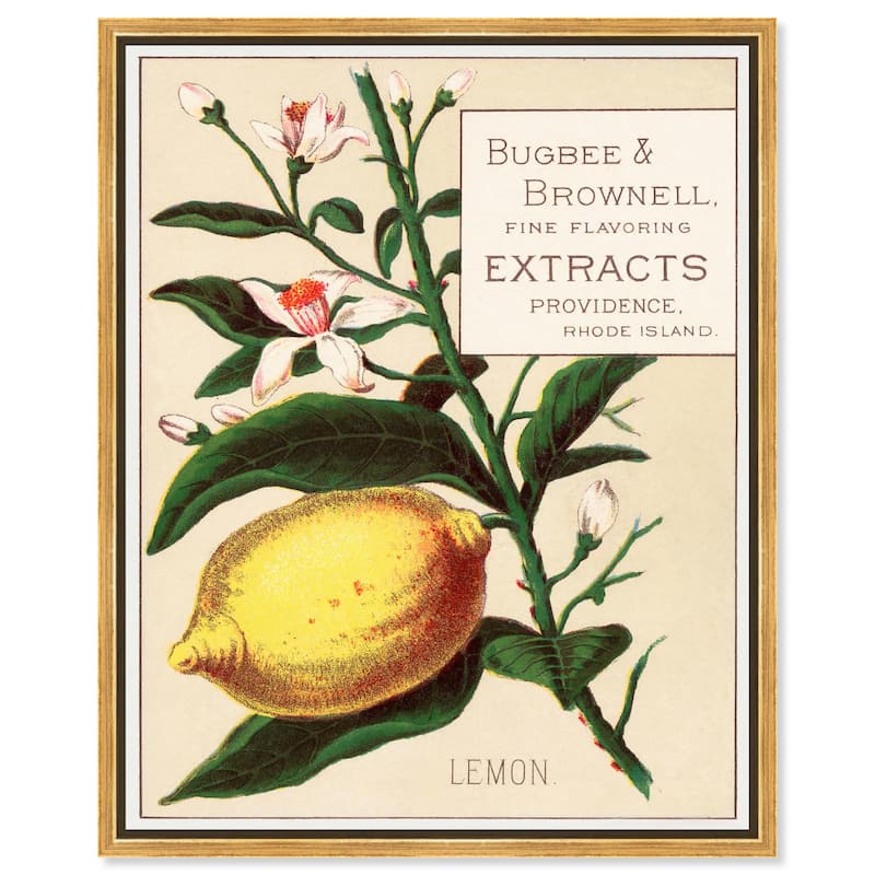 Lemon Canvas by Art Remedy - Gold - 16" x 20"