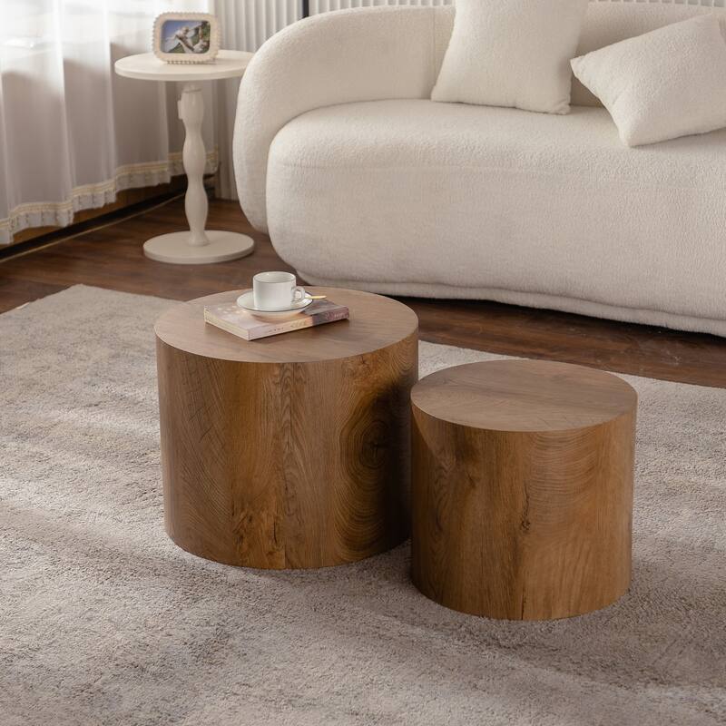 Simple Modern 2 Piece Coffee Table Set