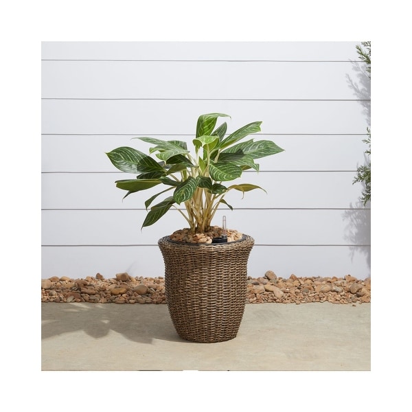 14" Brown Curved Oval Smart Self-Watering Planter - N/A