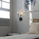 preview thumbnail 5 of 4, Vaxcel Lighting W0493 Warwick 2 Light 12" Tall Wall Sconce